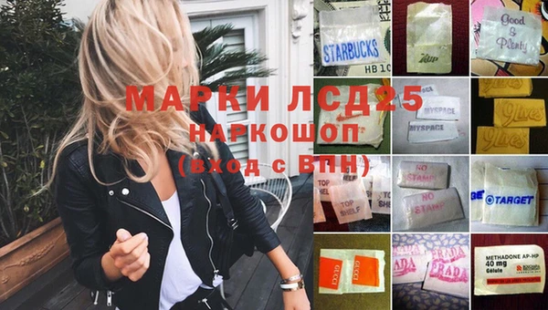 хмурый Алзамай