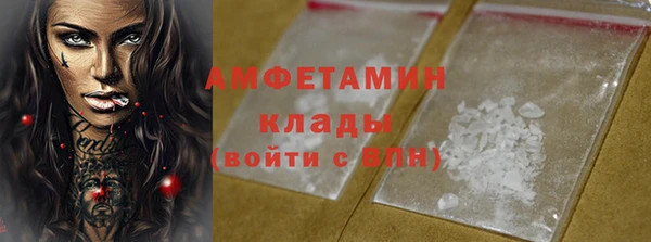 хмурый Алзамай