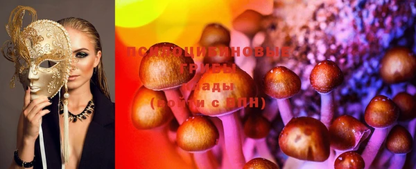 хмурый Алзамай