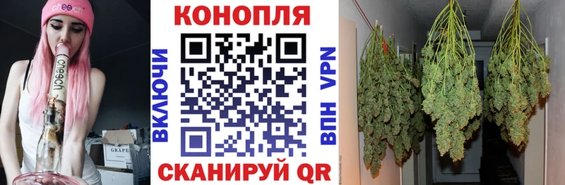 Конопля индика  магазин продажи наркотиков  Ахтырский 